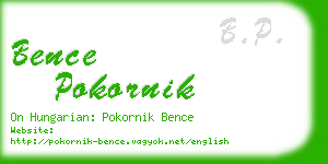 bence pokornik business card